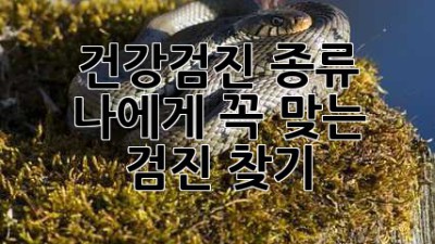 건강검진 종류: 나에게 꼭 맞는 검진 찾기
