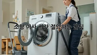 소형 이사, 시간 절약하는 꿀팁!