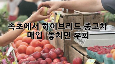 속초에서 하이브리드 중고차 매입? 🚗💨 놓치면 후회!